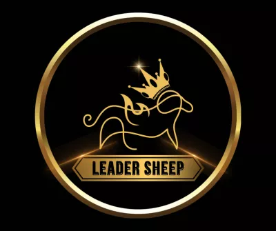 helps you find the most attractive logo for your brand