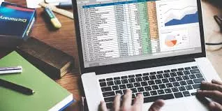 Menginput suatu data dengan rapi dan cermat